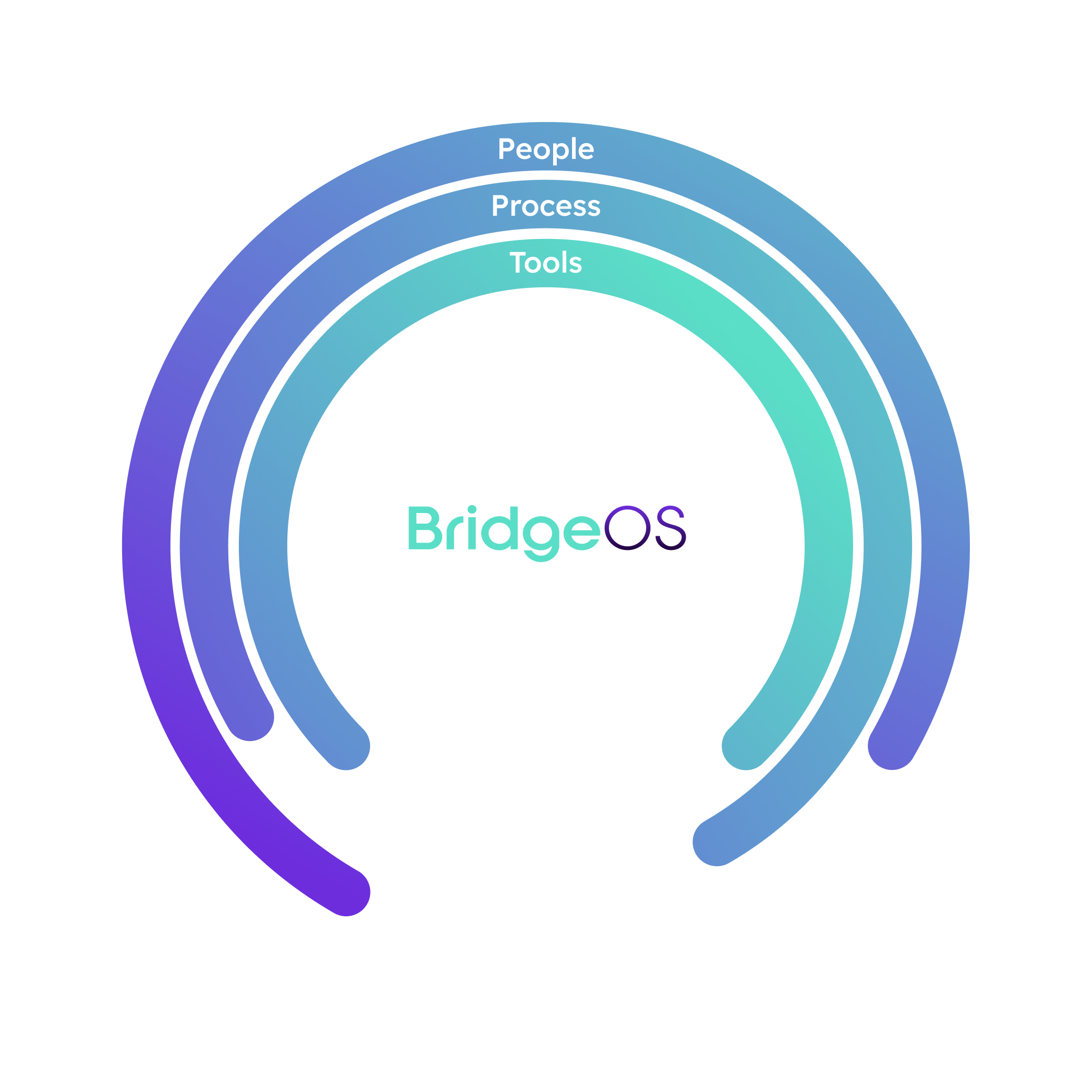 Bridge OS Graphic
